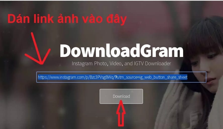 cách tải ảnh, video trên Instagram