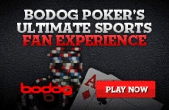 Giải trí tại Bodog –  nhà cái uy tín hàng đầu thị trường