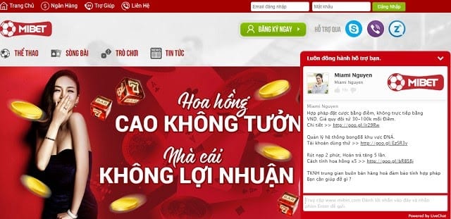 Tổng hợp các khuyến mãi khủng tại Mibet