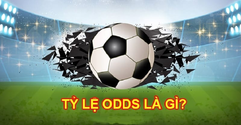 Tìm hiểu về Odds là gì? Phân loại các dạng tỷ lệ Odds khi cược