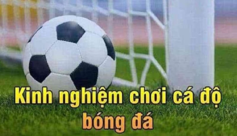 Kinh nghiệm cá độ bóng đá 