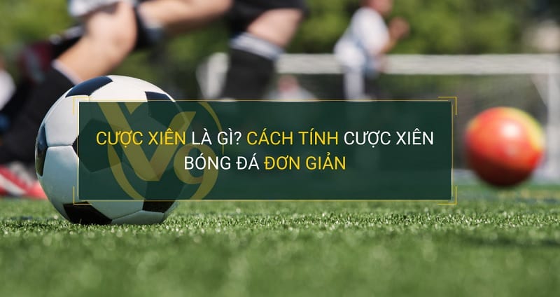 Cách tính xiên trong cá độ và bí quyết chiến thắng cho tân thủ