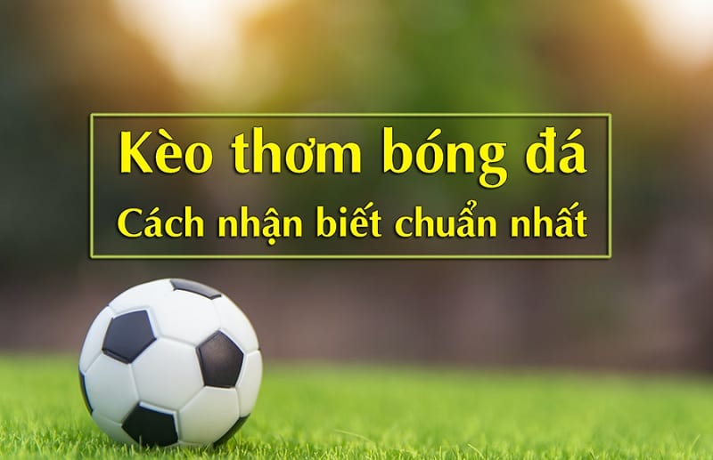 cách nhận biết kèo thơm khi cá cược