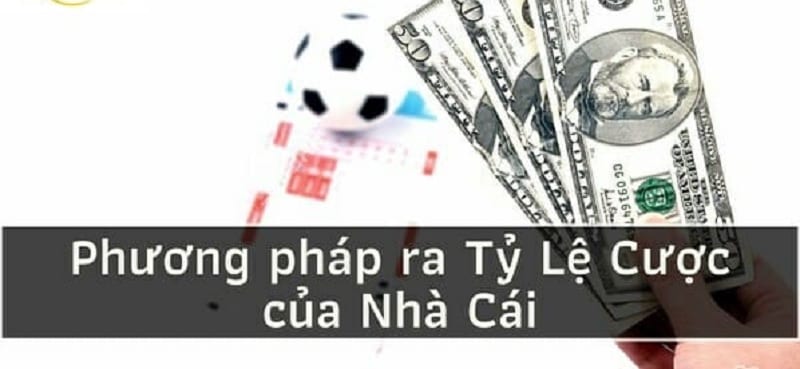 Tìm hiểu về mối liên hệ giữa xác suất và tỷ lệ cược