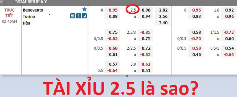 Kèo Tài Xỉu 2.5 là gì? Kinh nghiệm giúp chơi kèo tài xỉu 2.5 trái