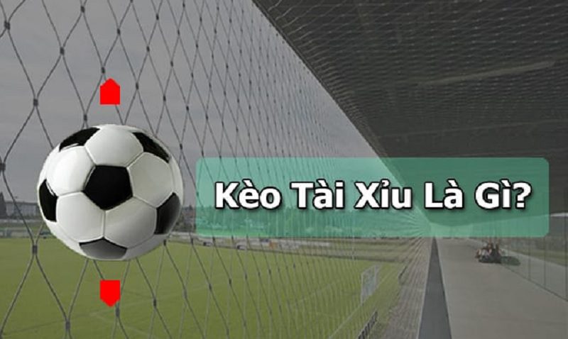 Kèo Tài Xỉu 2.5 là gì? Kinh nghiệm giúp chơi kèo tài xỉu 2.5 trái