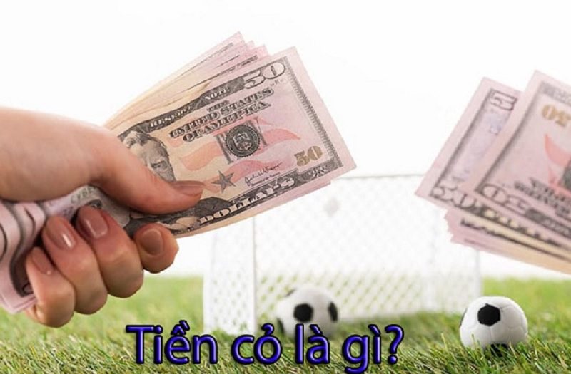 Tiền cỏ là gì? Tìm hiểu về cách tính tiền cỏ