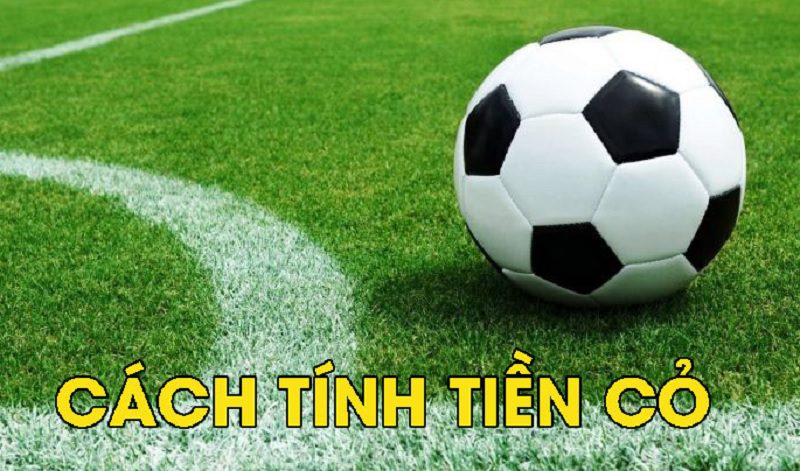 Tiền cỏ là gì? Tìm hiểu về cách tính tiền cỏ