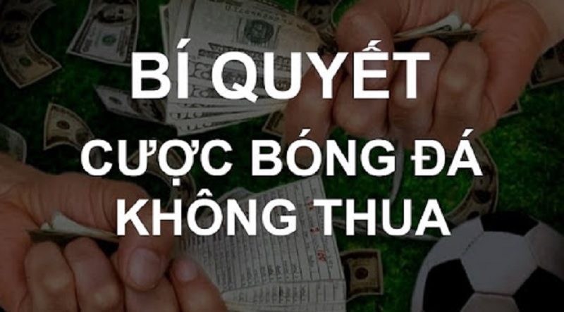 Cách chơi cá độ bóng đá không thua với những chiến thuật đỉnh cao