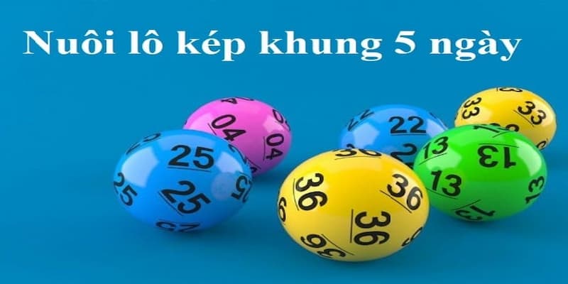 Nuôi lô kép khung 5 ngày là gì và cách đánh trúng thưởng cao