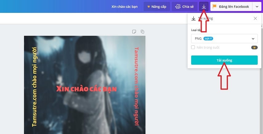 Cách chèn chữ vào ảnh online 