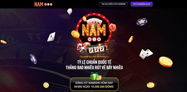 NamWin net